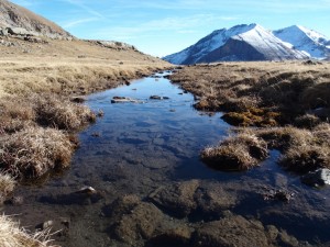 Vers le lac du Distroit (05)      