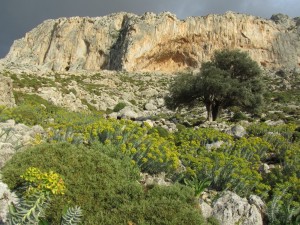 Kalymnos (Grèce)   